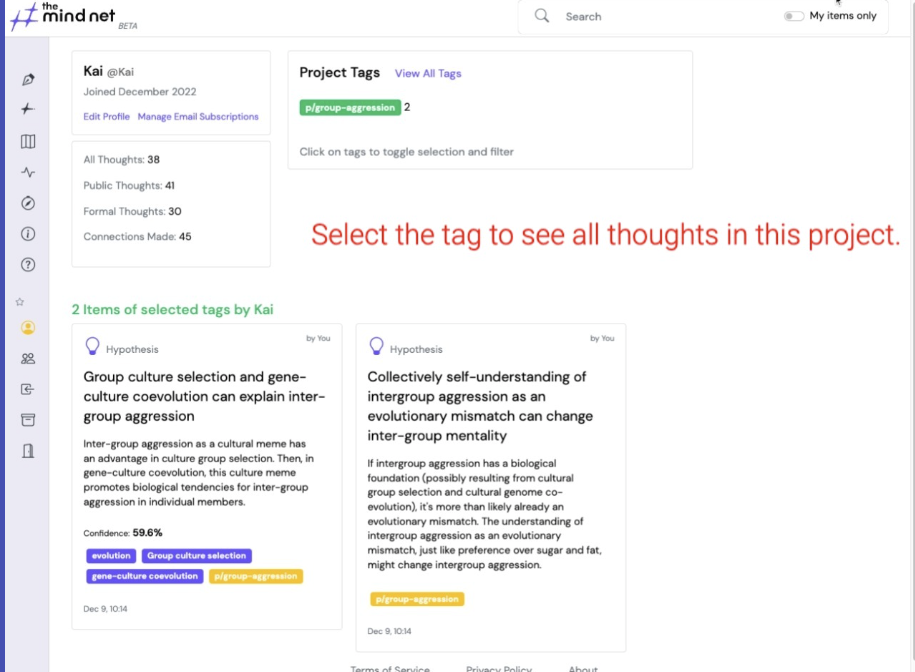 Project tags